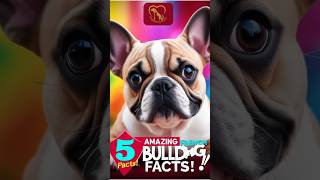 5 Fascinating Facts About French Bulldogs in Under 1 Minute [upl. by Berky]