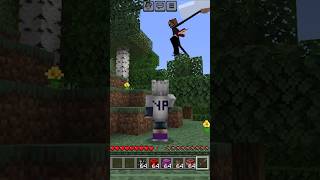 MINECRAFT WITCH 🧙🫣 shortvideo minecraft witch [upl. by Dimphia173]