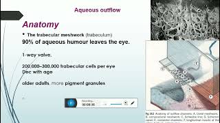 aqueous humor productioncomponentssupressionand trabecular meshwork parts [upl. by Hally]