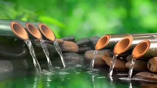 Relaxing Music  Spa Music Massage Yoga Sleep Music Running Water Stress Relief Music Zen [upl. by Enelia]