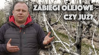 Zabieg olejowy – czy już czas Krótko i na temat [upl. by Samanthia317]