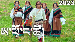 New Tibetan Dance Song 2023 ཨ་ཕོ་ང་ཚོ། བཀྲ་ཤིས་འགྱུར་མེད། Tashi Gyurmey [upl. by Fax251]