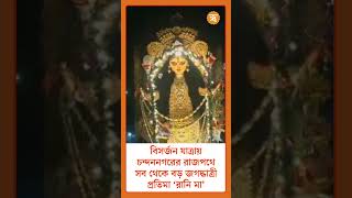 Chandannagar  বিসর্জন যাত্রায় চন্দননগরের রাজপথে সব থেকে বড় জগদ্ধাত্রী প্রতিমা ‍‘রানি মা’ [upl. by Ycniuq]