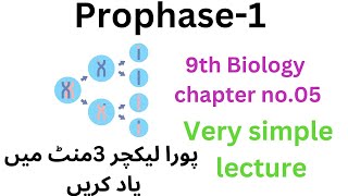 prophase1  chapter 05 9th biology 9thclass [upl. by Llerdnod]