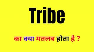 Tribe Ka Matlab Kya Hota Hai  Tribe Word Meaning  Tribe Meaning In Hindi [upl. by Roanne]