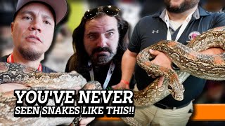 What REALLY HAPPENED at the Tinley Park Reptile Show 2024 with davkaufmansreptileadventures [upl. by Shulamith784]