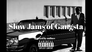 GFunk Mix  Slow Jam  West Coast Hip Hop Mix quotSlow Jams of Gangstaquot [upl. by Inaboy81]