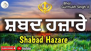 Shabad Hazare  ਸ਼ਬਦ ਹਜ਼ਾਰੇ  Shabad  Shabad Hazare Path Full [upl. by Davine109]