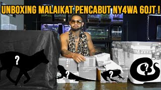 NEKAT  UNBOXING MALAIKAT PENCABUT NYAW4 60JT  kingcobra audreya [upl. by Ennovaj259]