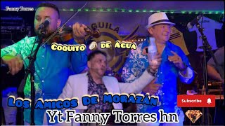 🎶Coquito De Agua 🥥 Los Amigos De Morazán🎻En 🔋 Aguila Testaurant Ricura Gózalo 🎻 [upl. by Estey]