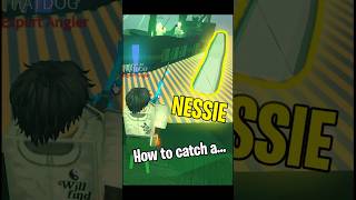 Fast Nessie Guide how to catch it [upl. by Langbehn]