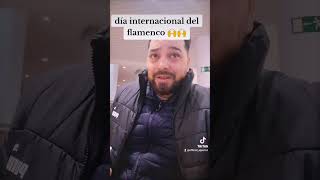 Día internacional del flamenco sorts [upl. by Anderea]