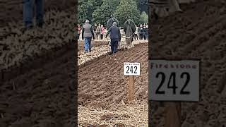 Traditional Horse Ploughing at the 73rd British National Ploughing Championships 13th October 2024 [upl. by Ellenrahc]