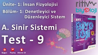 Test  9  Sinir Sistemi  Bölüm Değerlendirme Testi  2 [upl. by Simaj]