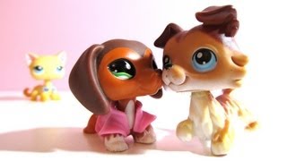 Littlest Pet Shop Popular Episode 21 Whats Done is Done Soustitres français [upl. by Neve]