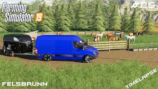 Upgrading horse stable  Animals on Felsbrunn  Farming Simulator 19  Episode 25 [upl. by Salomie]