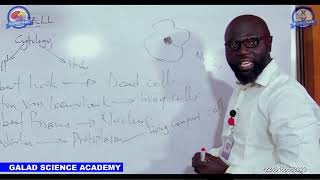 BIOLOGY INTRO TO CELL FULL JAMB IJMBE JUPEB AND 100 LEVEL TUTORIAL CLASS GALADSCIENCEACADEMY [upl. by Lingwood438]