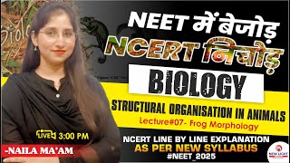 LIVE NEET 2025  STRUCTURAL ORGANISATION IN ANIMALS  L07 Frog Morphology  Naila Maam Newlight [upl. by Aiuqcaj]