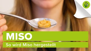 So wird Miso hergestellt [upl. by Eecak]