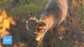 Kansas Brute  David Blanton  Monster Bucks Monday Presented MidwayUSA [upl. by Portland]