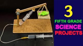 3 Awesome Fifth Grade Science Project Ideas [upl. by Yslehc783]