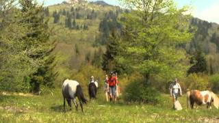 Virginias RichesDiscover Grayson Highlands State Park [upl. by Ahsiekrats]