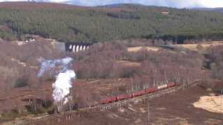 The Great Britain VI Railtour Day 6 [upl. by Hewart918]