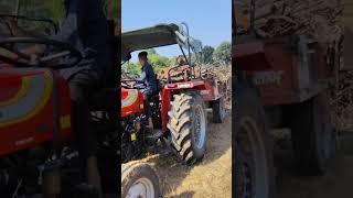 245 Massey 50 HP  power steering fourbrothers shortsvideo modifyjattlife 🌾👨‍🌾🚜farming 🌾🌾🌽 [upl. by Woodman]