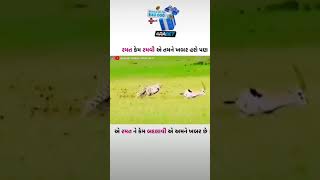 રમત ને બદલવી 🙏🥰 youtubeshorts shorts short viralvideo trending shortvideos india dayro 2024 [upl. by Coucher]