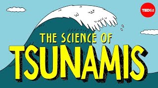 How tsunamis work  Alex Gendler [upl. by Aisyat]