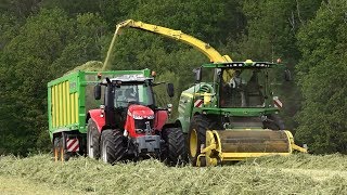 Grassilage 2019 erster Schnitt Häckseln mit John Deere 8400i 6230R 7310R [upl. by Inafit576]