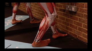 Peroneus Fibularis Brevis LEG Stretch for All standing – iStretch [upl. by Romelle]