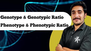 What is Genotype Phenotype Genotypic Ratio and genotypic Ratio  Generics Terminology  Hindi [upl. by Gastineau]