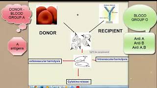 ACUTE HAEMOLYTIC TRANSFUSION RECTION [upl. by Patience]