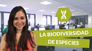 La biodiversidad de especies  Biología  digiSchool [upl. by Ahtanamas358]