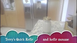 Terrys Quick Kefir no straining kefir cream cheese and Kefir Mousse [upl. by Busiek]