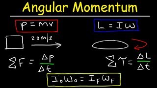 Angular Momentum  Basic Introduction Torque Inertia Conservation of Angular Momentum [upl. by Yerocal]