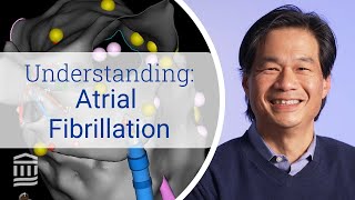 Atrial Fibrillation Risk Factors Symptoms and Treatment  Mass General Brigham [upl. by Sairu317]