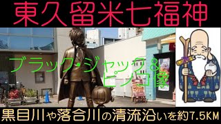 東京都東久留米市の東久留米七福神は川沿いにいるカモと鯉を見ながら豊かな自然を感じながら散策するコースです。距離約75KM [upl. by Tormoria348]