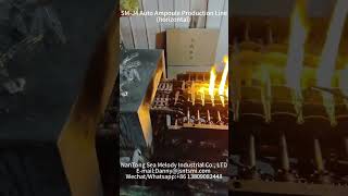 how to make glass ampoules quicklyAuto Ampoule Machine horizontal [upl. by Yankee727]