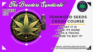 Feminized  Fem Seed Super Fast Rundown  Tips and Tricks with some Q and A from Discord [upl. by Herman95]