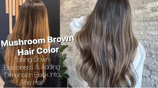 MUSHROOM BROWN  Toning Down BRASSY Hair amp Adding DIMENSION [upl. by Opportuna]