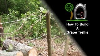 Install A Grape Trellis [upl. by Nyladgam713]