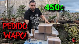 Bonsai UNBOXING premio sorteo BonsaiGranada [upl. by Rogers349]