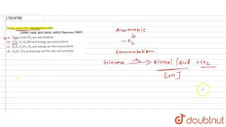 During anaerobic respiration in yeast [upl. by Anirahc]