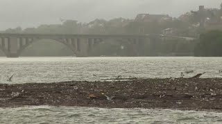 Trash Island  Potomac River cleanup after Tropical Storm Debby [upl. by Lyons]