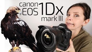 Canon 1DX Mark III prueba ALUCINANTE en safari [upl. by Ennayhs95]