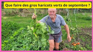 Que faire de vos gros haricots verts de septembre avant quils pourrissent [upl. by Erida]