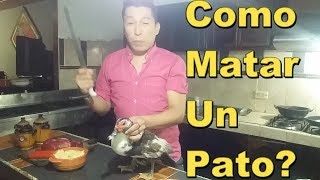 Como Matar Un Pato  por JAROM MUSIC [upl. by Selina]