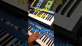 Udo Super 6 amp Moog GrMother synth electronicmusic [upl. by Henryk]